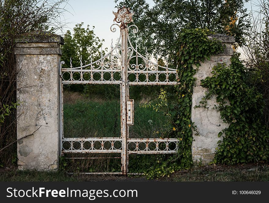 Iron, Wall, Gate, Grass