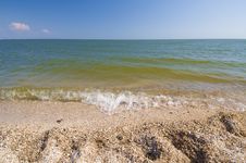 Sea Shells Beach Stock Photography Sea Shells Beach Stock Photography
