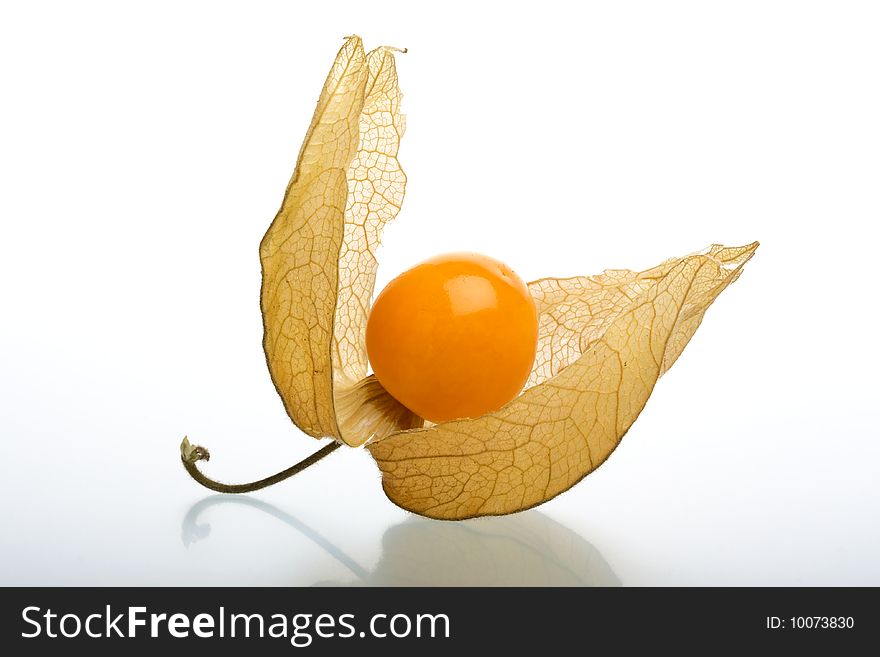 Physalis, gooseberry on white background