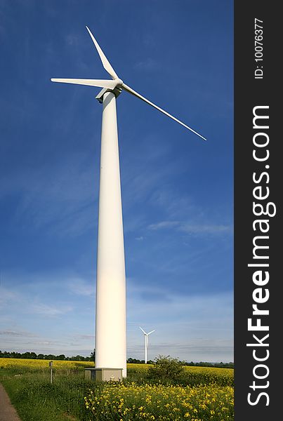 Alternative energies - Windmills and a rape field