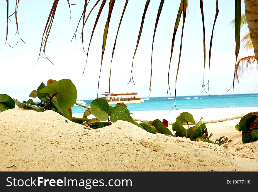 The beauty of relaxing carribean nature. The beauty of relaxing carribean nature