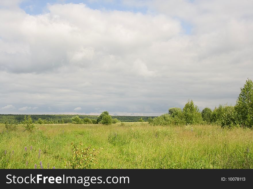 Years landscape - a meadow, a wood, the sky, clouds a grass, hot June day