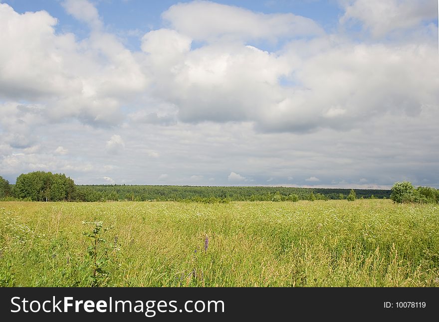 Years landscape - a meadow, a wood, the sky, clouds a grass, hot June day