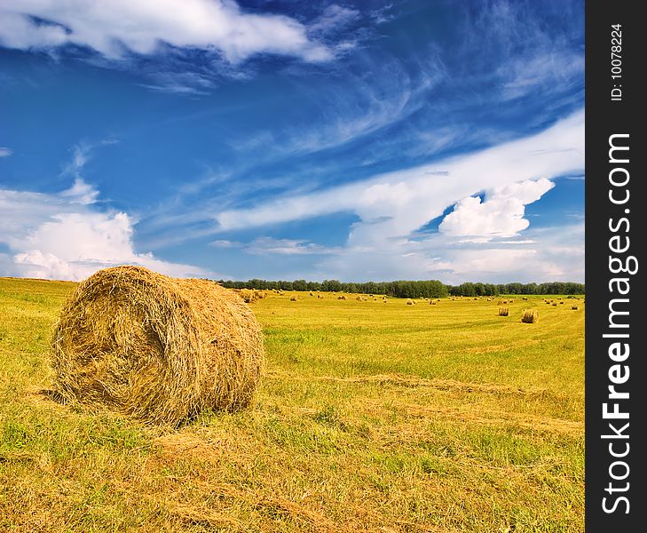 Straw bales on farmland with blue cloudy sky. Straw bales on farmland with blue cloudy sky