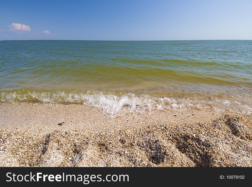 Top view sea shells beach summer background