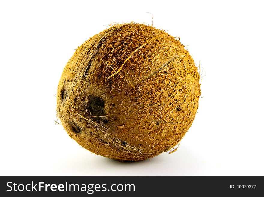 Single whole brown coconut on a white background