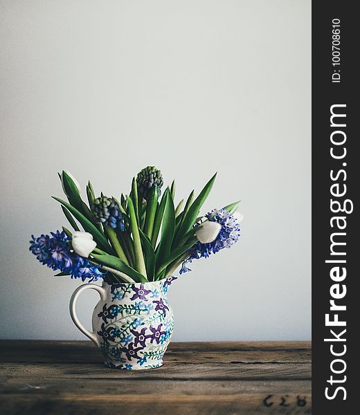 Plant, Flower, Flowerpot, Vase