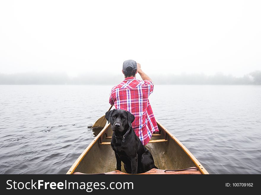 Photograph, Water Transportation, Boating, Water
