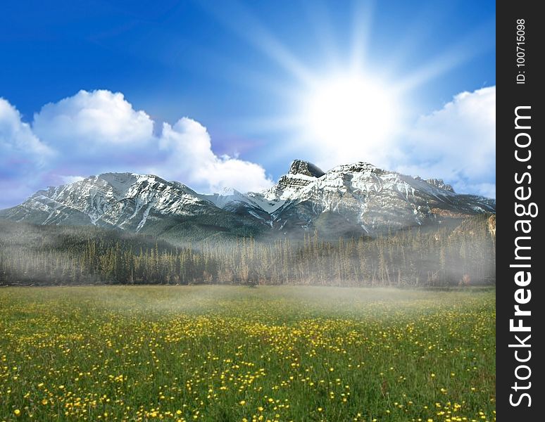 Grassland, Sky, Nature, Ecosystem