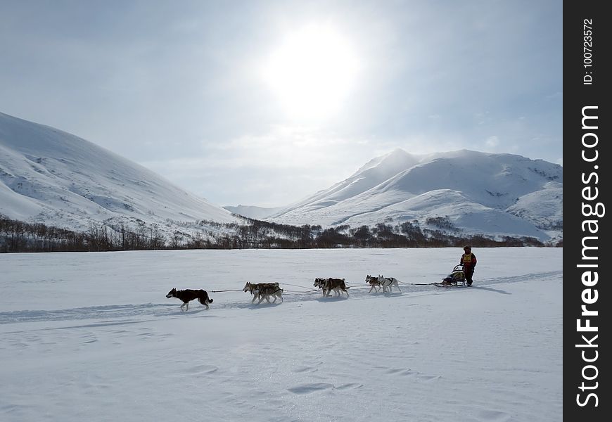 Snow, Arctic, Winter, Sled Dog Racing