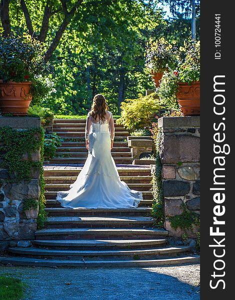 Bride, Photograph, Woman, Dress