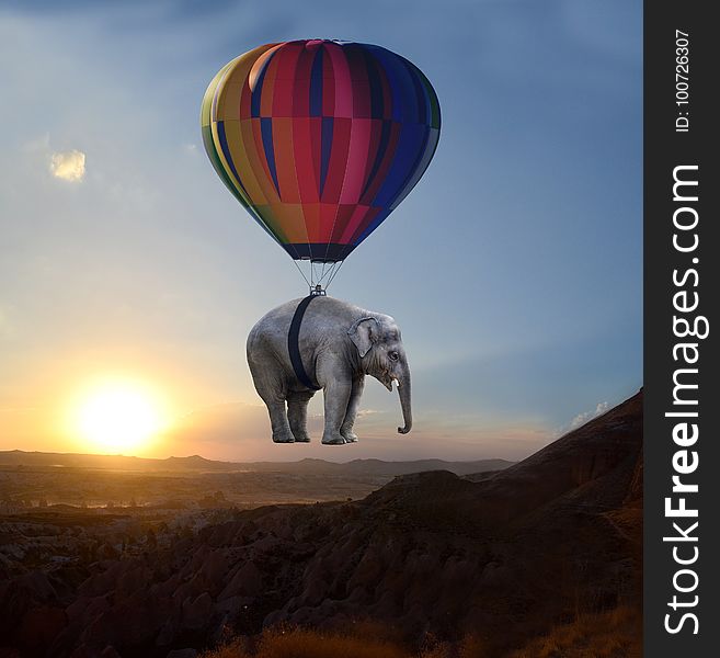 Hot Air Ballooning, Elephants And Mammoths, Hot Air Balloon, Sky