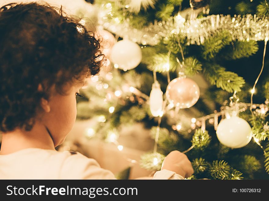 Christmas, Christmas Decoration, Ceremony, Tree