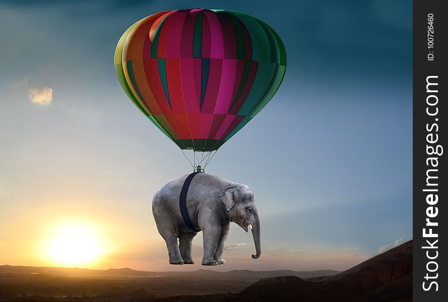 Elephants And Mammoths, Hot Air Balloon, Hot Air Ballooning, Sky