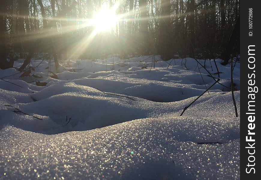 Snow, Winter, Freezing, Sky