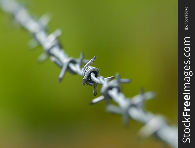 Macro Photography, Close Up, Barbed Wire, Wire Fencing