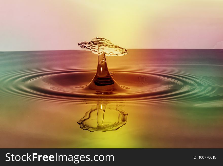 Water, Water Resources, Drop, Macro Photography