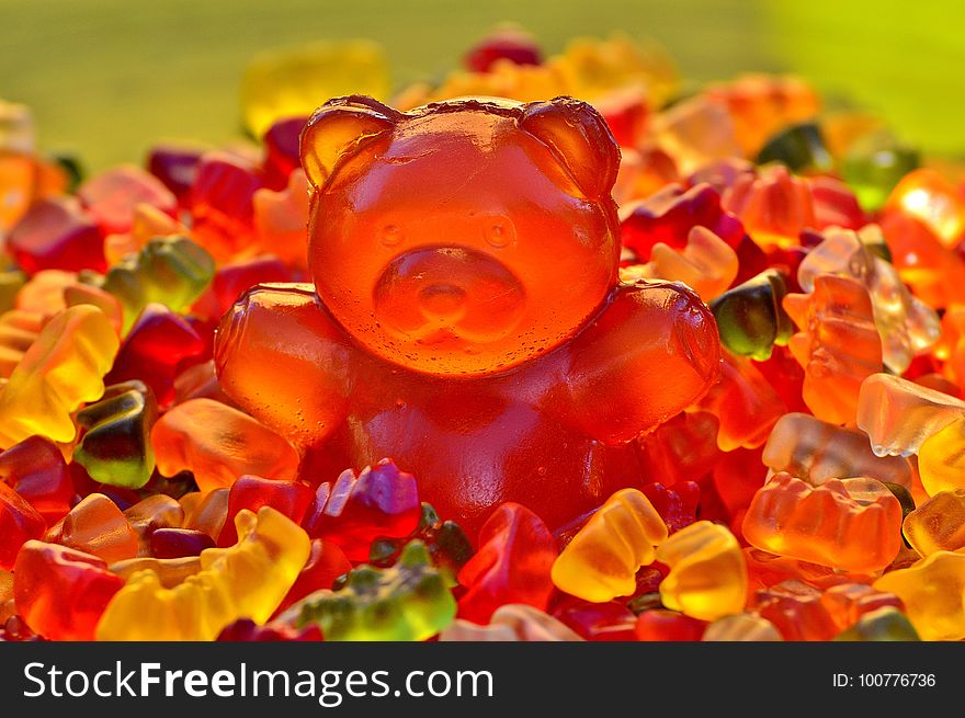 Orange, Flower, Petal, Close Up