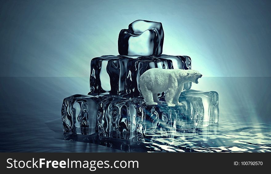 Water, Ice, Still Life Photography, Melting