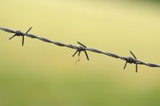 Barbed Wire Royalty Free Stock Photography Barbed Wire Royalty Free Stock Photography