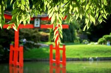Japanese Garden With Torii Stock Photography