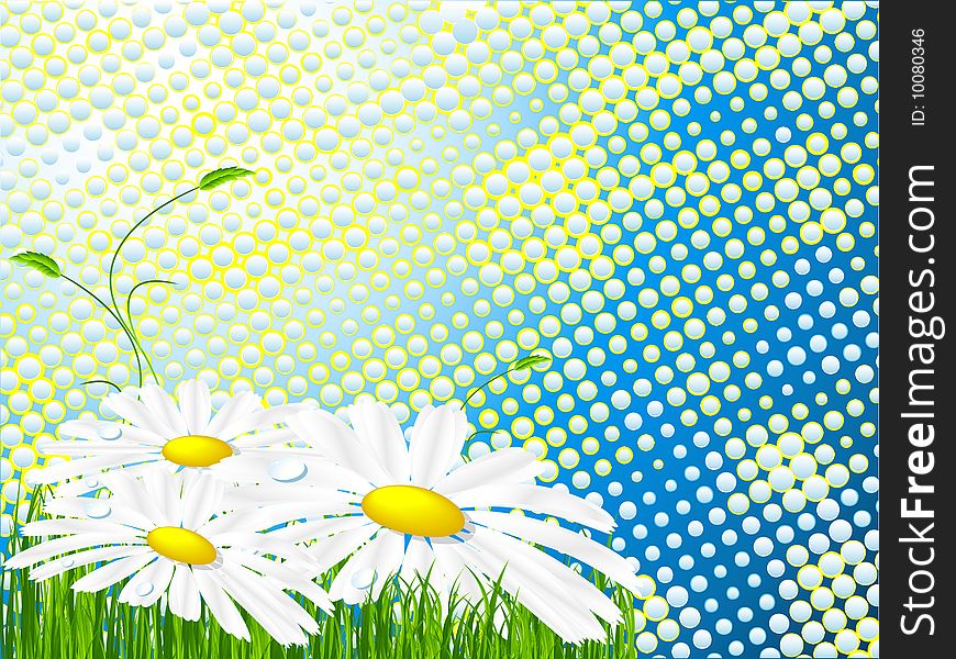 Abstract bright background with chamomiles and green grass. Abstract bright background with chamomiles and green grass