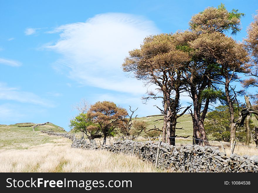 Yorkshire Dales landscape