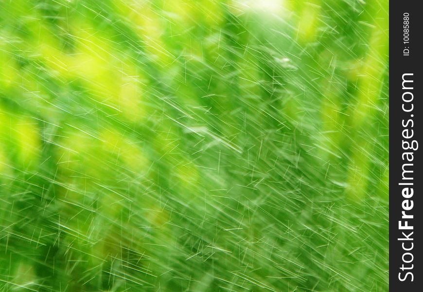 Water Drops Over Green Grass