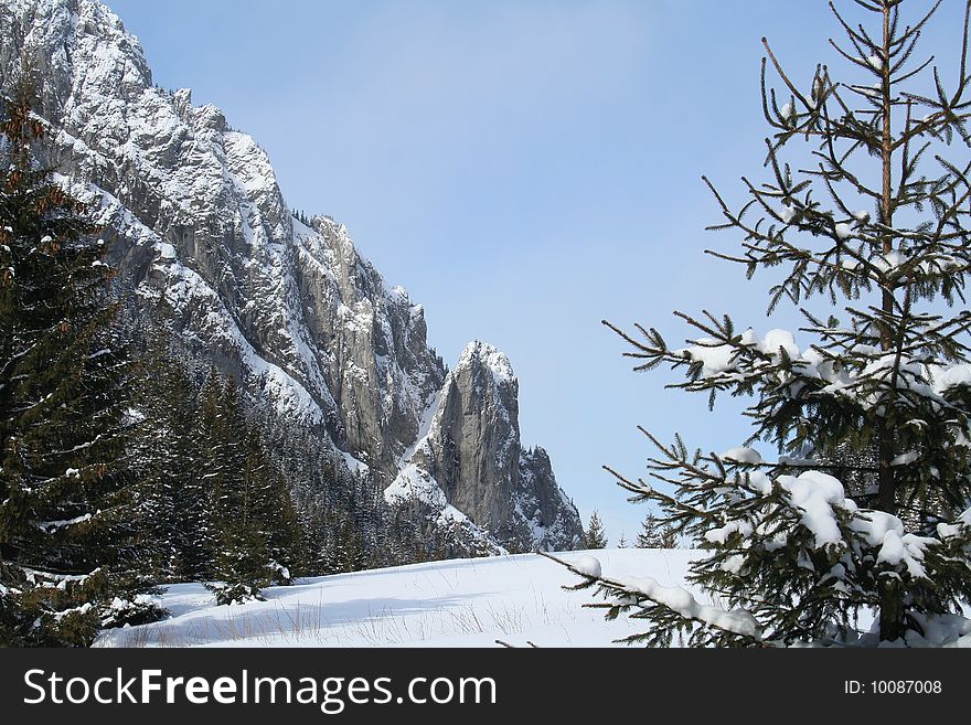 Tatra mountains during winter - trees and rocks. Tatra mountains during winter - trees and rocks