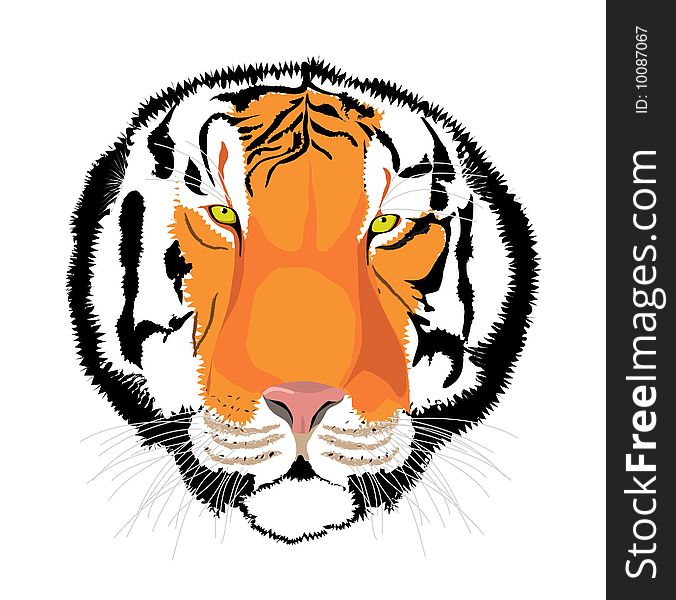 Vector graphic striped tiger head