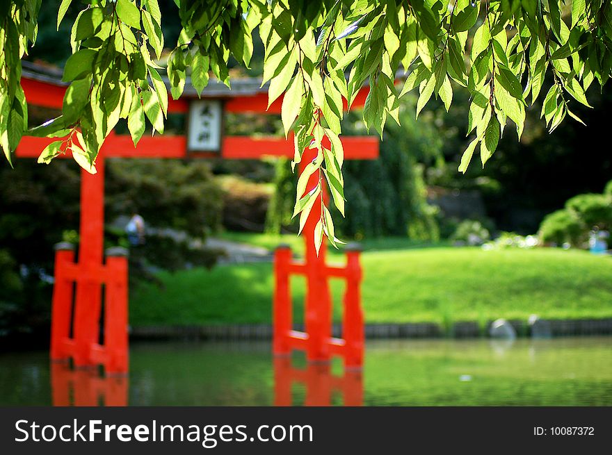 Japanese garden with torii
