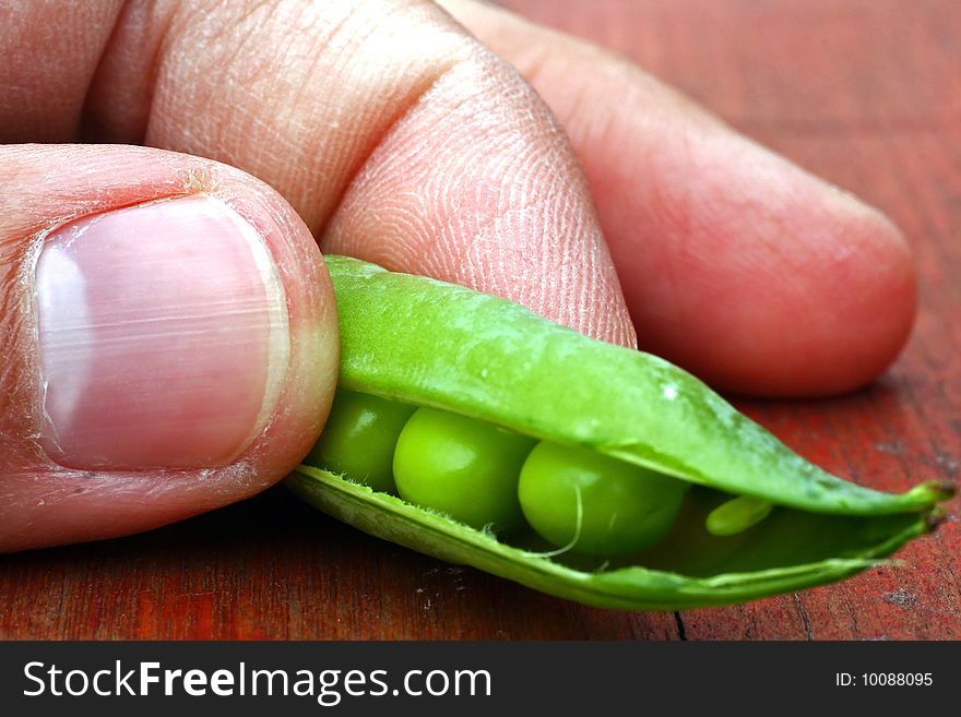 Look on hand open fresh green peas