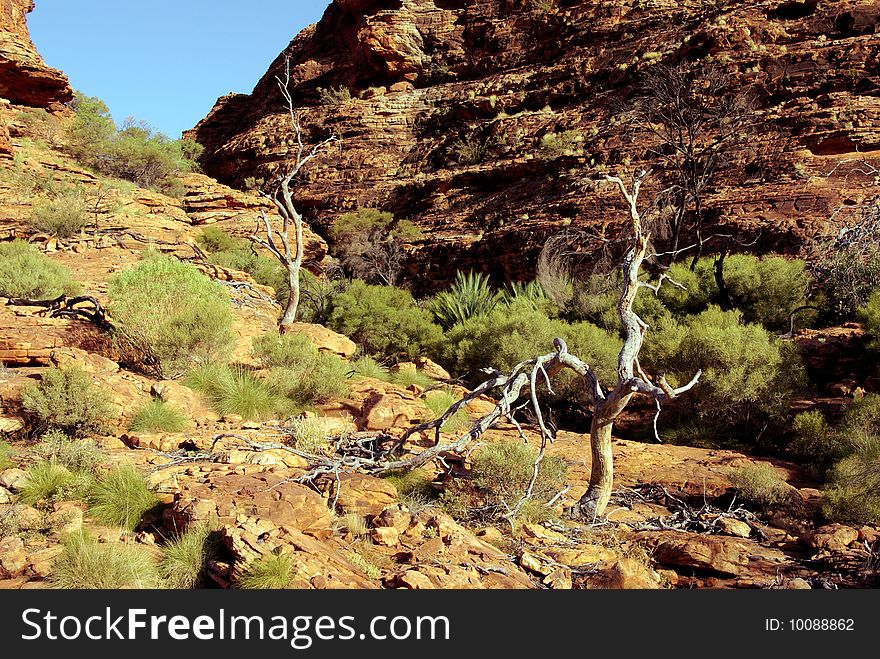 View of Kings Canyon, James Range in Northern Territory, Australia. View of Kings Canyon, James Range in Northern Territory, Australia.