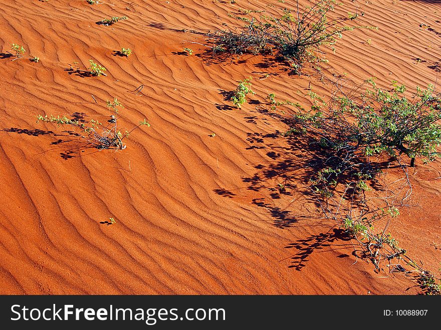 Detail of sand dune in the Red Centre - Australian desert. Detail of sand dune in the Red Centre - Australian desert.