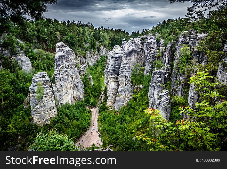 Nature, Vegetation, Nature Reserve, Wilderness