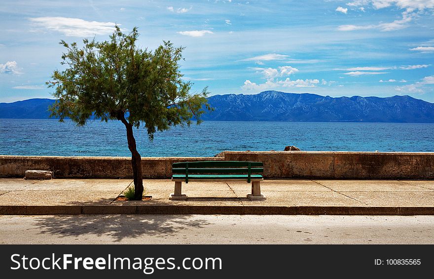 Sky, Shore, Sea, Tree