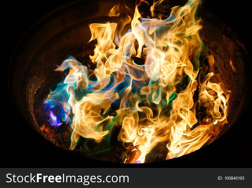 Flame, Fire, Organism, Computer Wallpaper