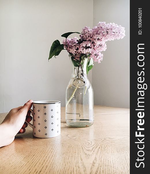Vase, Flowerpot, Flower, Still Life Photography