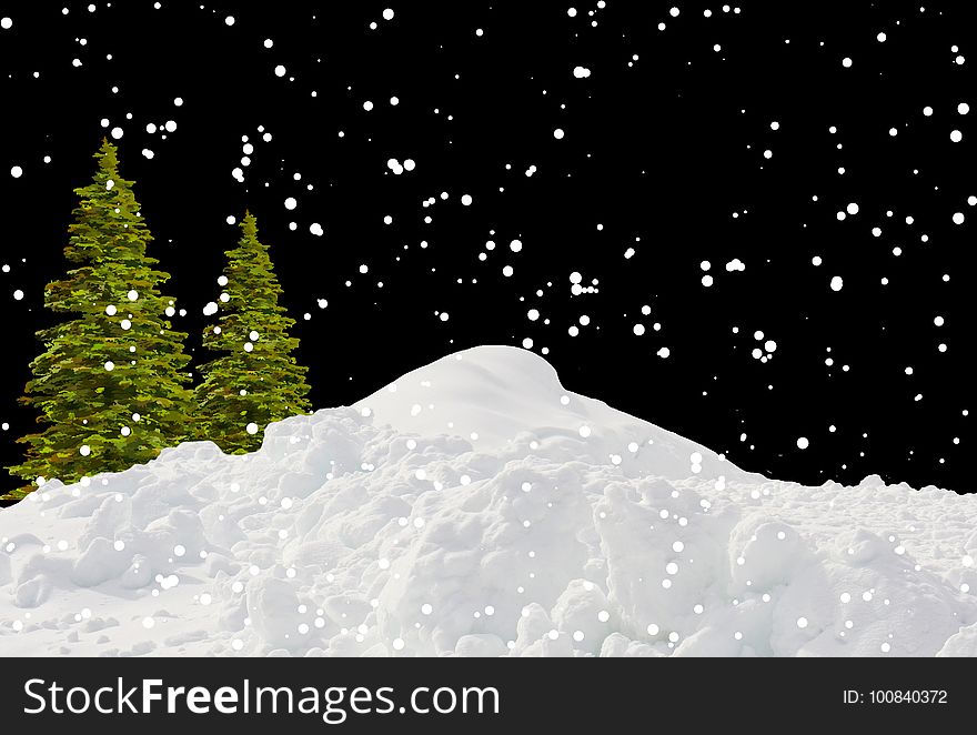 Christmas Tree, Sky, Winter, Snow