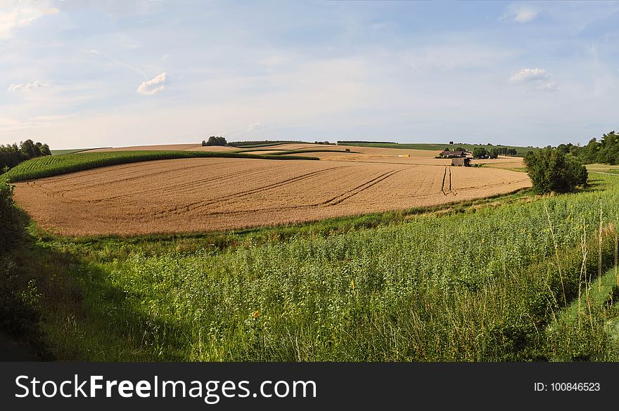 Field, Grassland, Farm, Plain