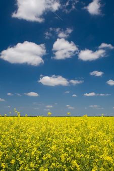 Rural Scene Stock Photos