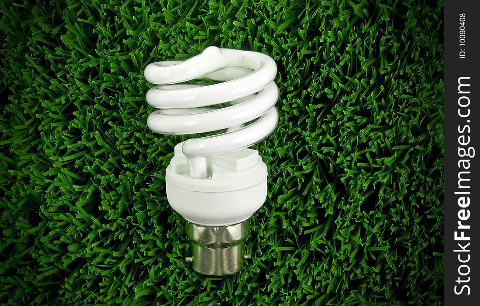 Fluorescent Light Bulb in a Grass