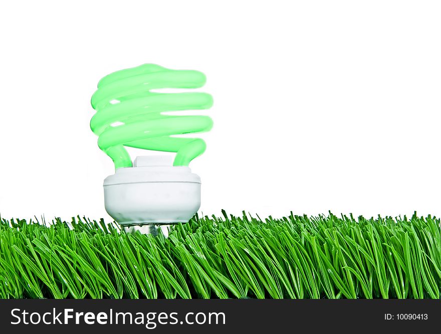 A fluorescent light bulb seems to sprout from a patch of grass