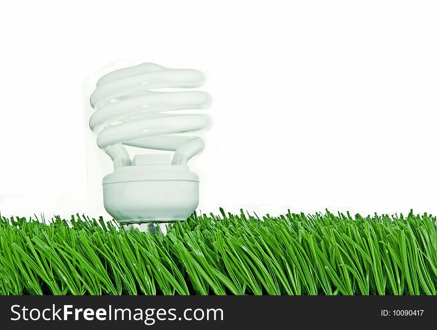 A fluorescent light bulb seems to sprout from a patch of grass