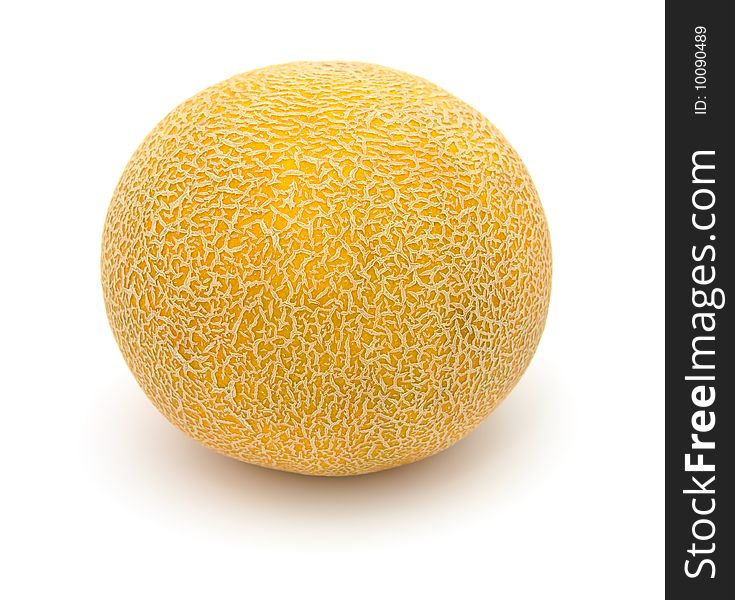 Melon