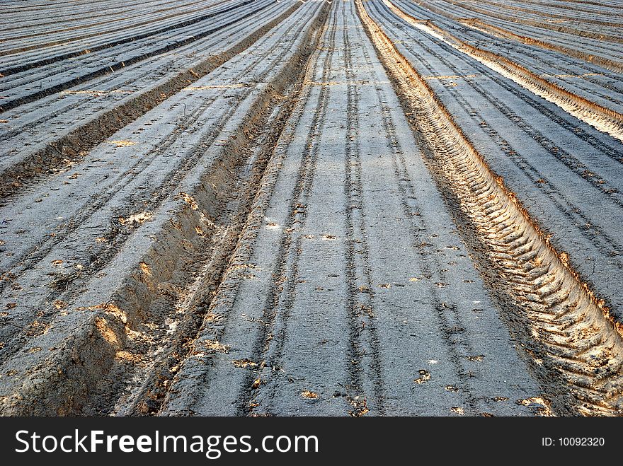 The ploughed field