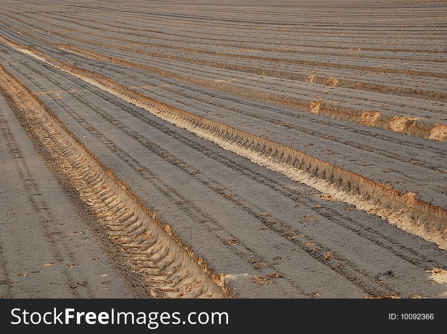 The ploughed field with numbers leaving afar