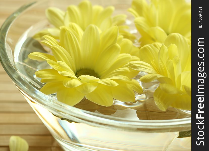 Yellow flowers floating in bowl. spa background