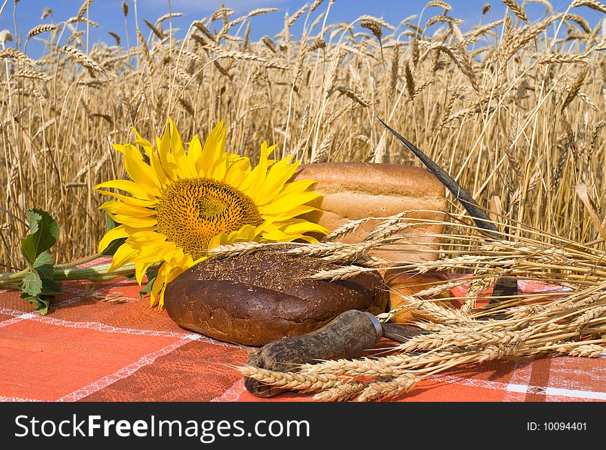 The bread, blossoming sunflower, old sickle and wheat stalks in the field. The bread, blossoming sunflower, old sickle and wheat stalks in the field.