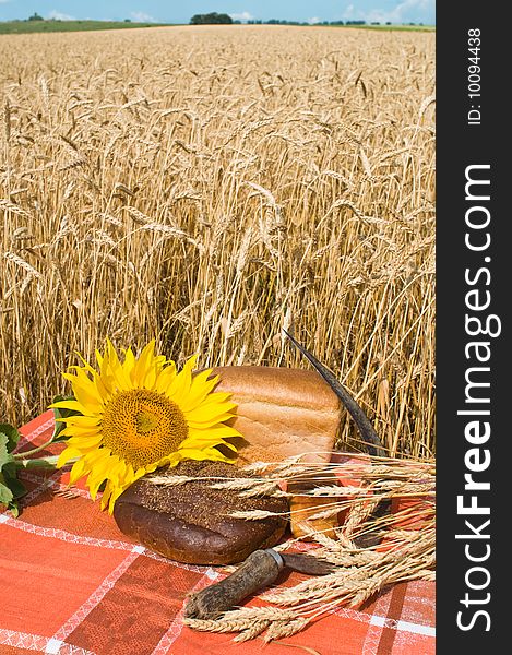 The bread, blossoming sunflower, old sickle and wheat stalks in the field. The bread, blossoming sunflower, old sickle and wheat stalks in the field.